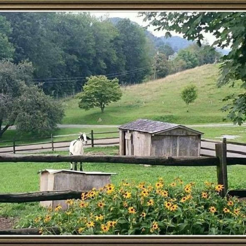 Meet your Posher, Judy